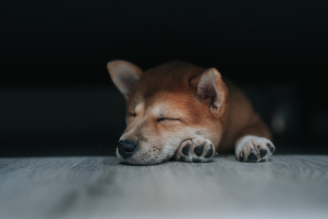 Sleep.