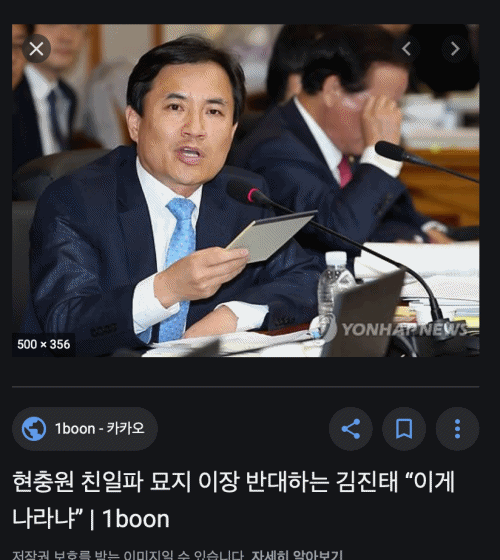 일본 불매 운동 - 친일 정치인