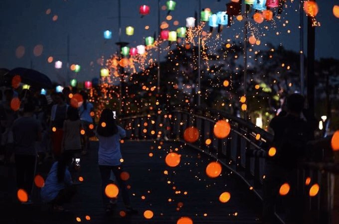 세종 낙화축제 주차장 꿀팁4