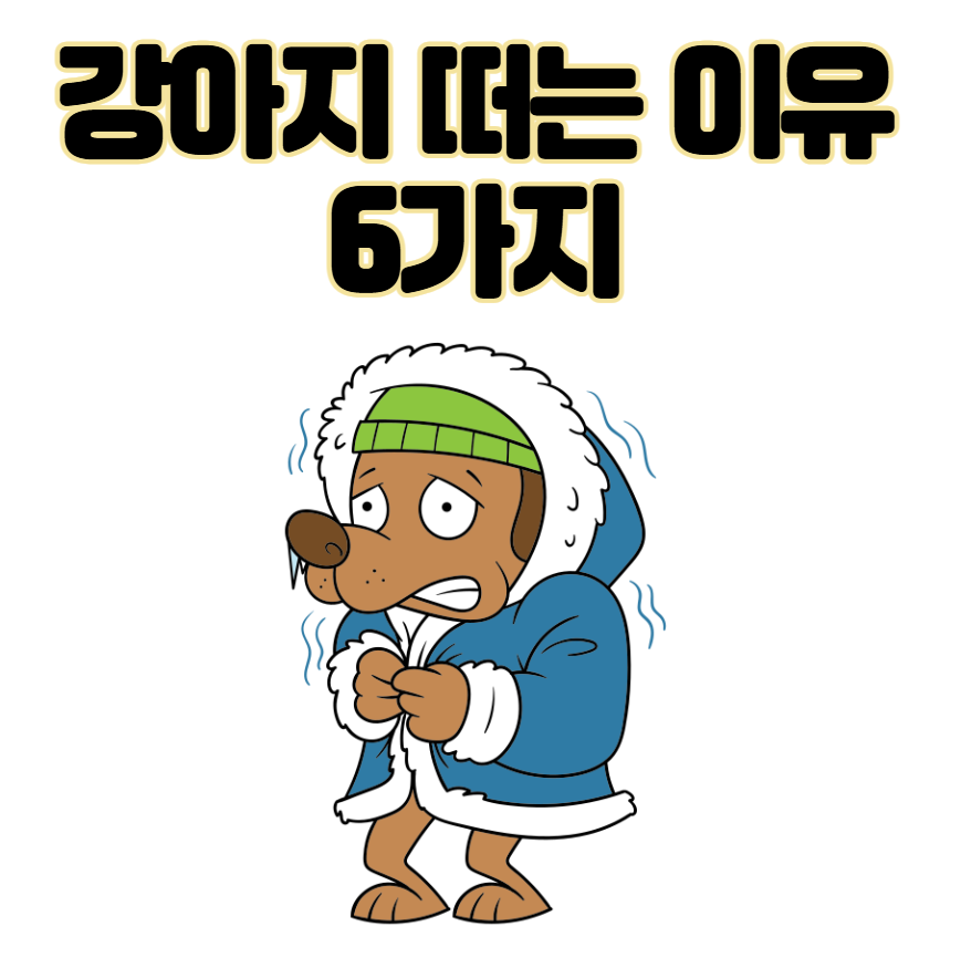 강아지 떠는 이유 6가지, 단순히 추워서가 아닙니다