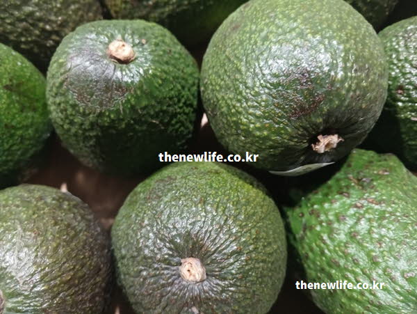 아보카도 효능의 비타민E가 풍부한 과육과 피부 미용에 도움이 되는 실사진