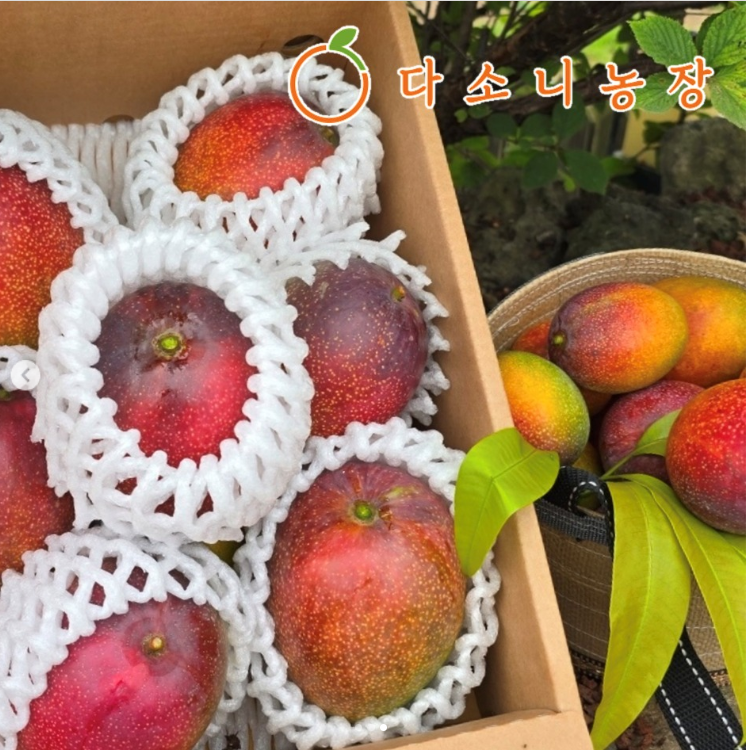 농촌 융복합산업제주국제 박람회