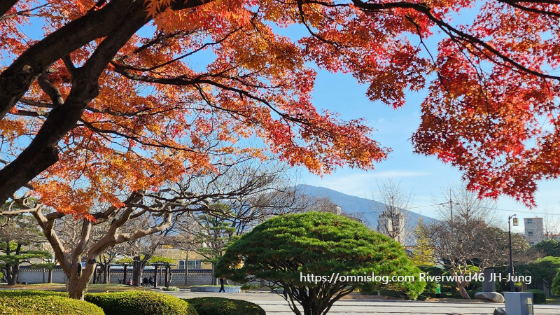 충렬사 애기단풍