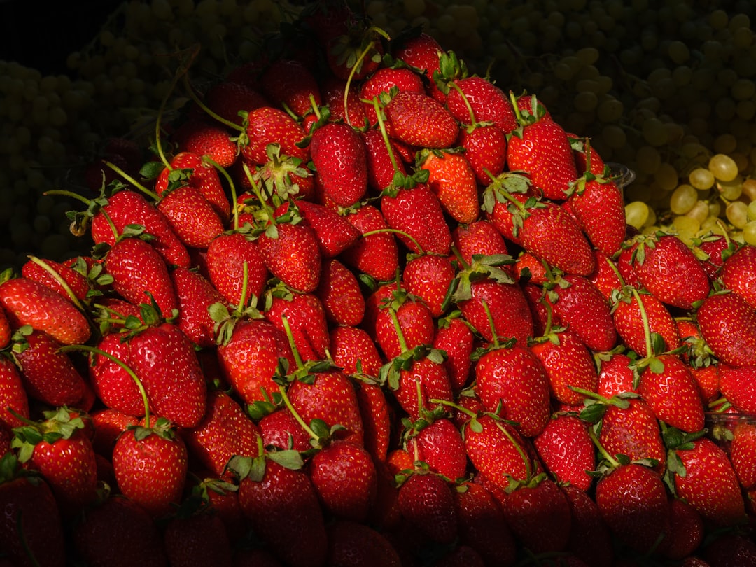 Nonsan Strawberry Festival
