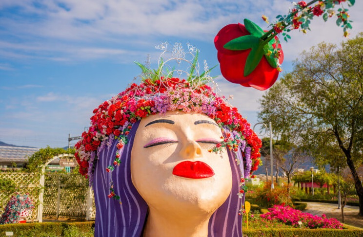 곡성장미축제사진