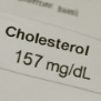 콜레스테롤 정상수치