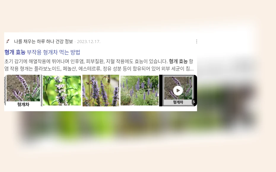 형개 효능_3_subsection