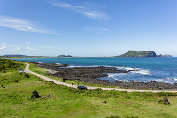 제주도 여행 필수품 탐나는전