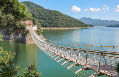'100억송이' 가을꽃