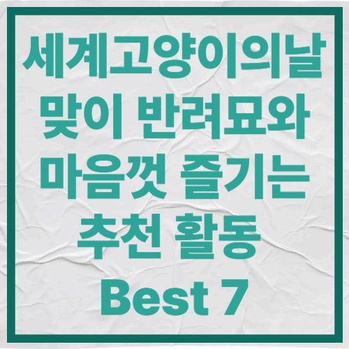 세계고양이의날 맞이 반려묘와 마음껏 즐기는 추천 활동 Best 7