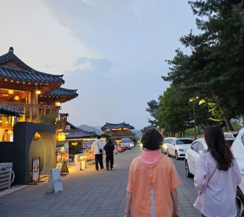 대릉원 옆 돌담길 - 차들에 가려서 돌담은 잘 보이지 않는다. ㅠ.ㅠ
