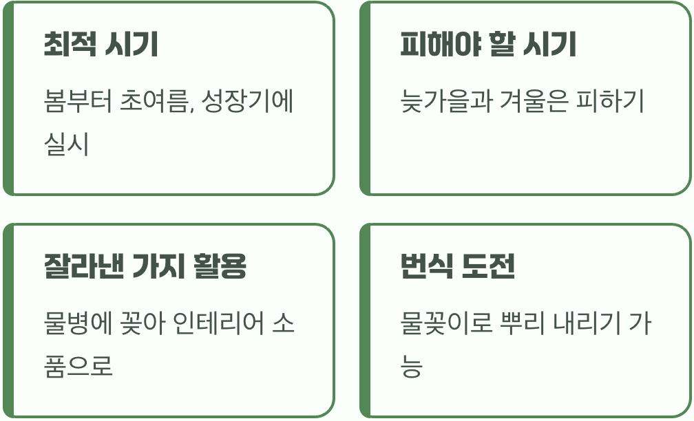 그래서&amp;#44; 가지치기는 언제&amp;#44; 어떻게 해야 할까?