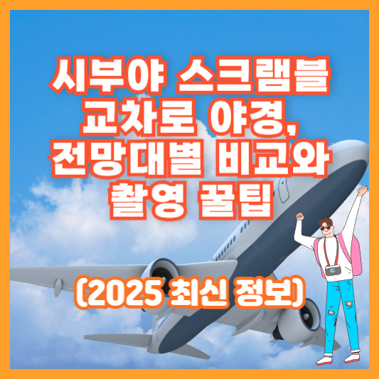 시부야 스크램블 교차로 야경, 전망대별 비교와 촬영 꿀팁 (2025 최신 정보)