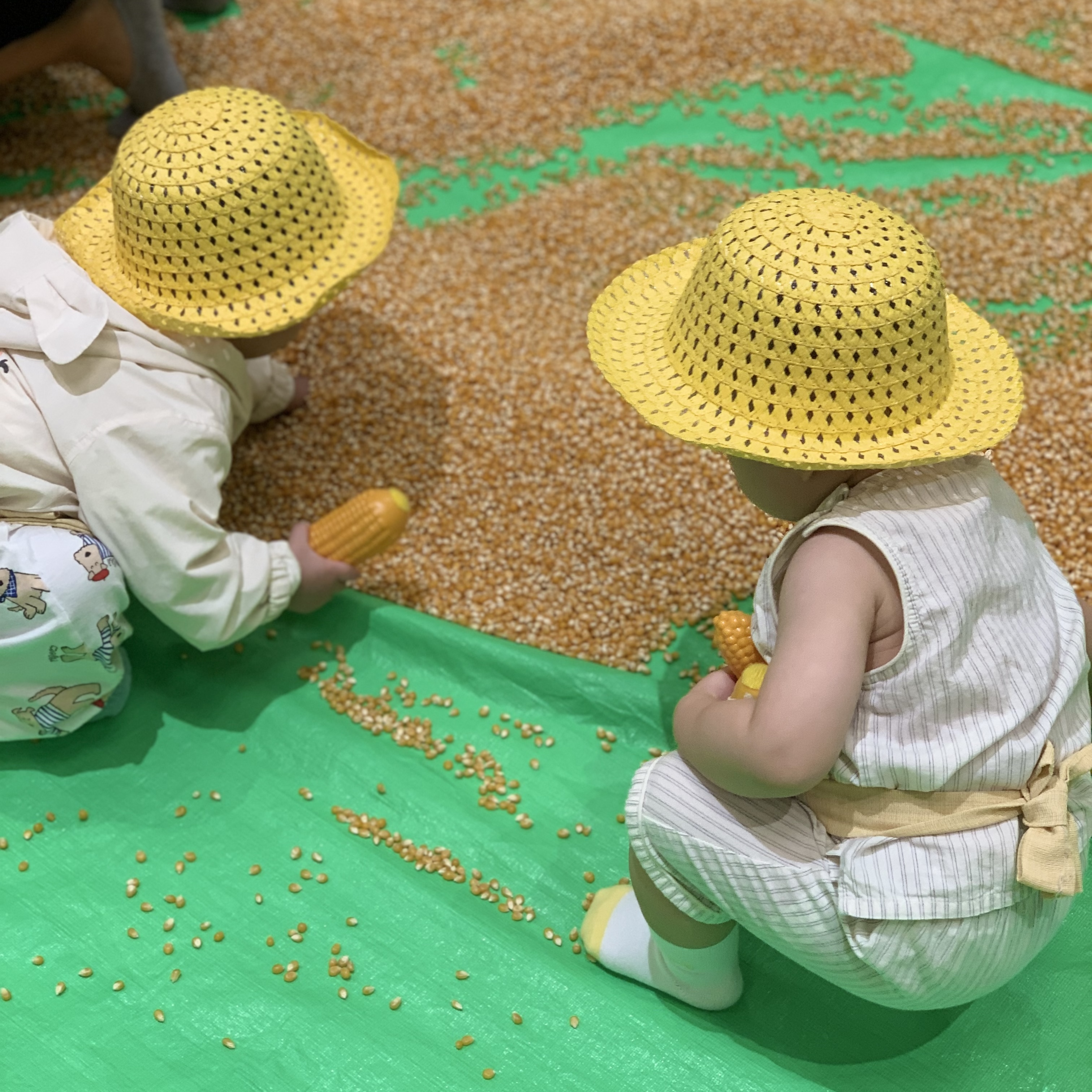 아기가 애기똥풀 수업가서 찍은 사진