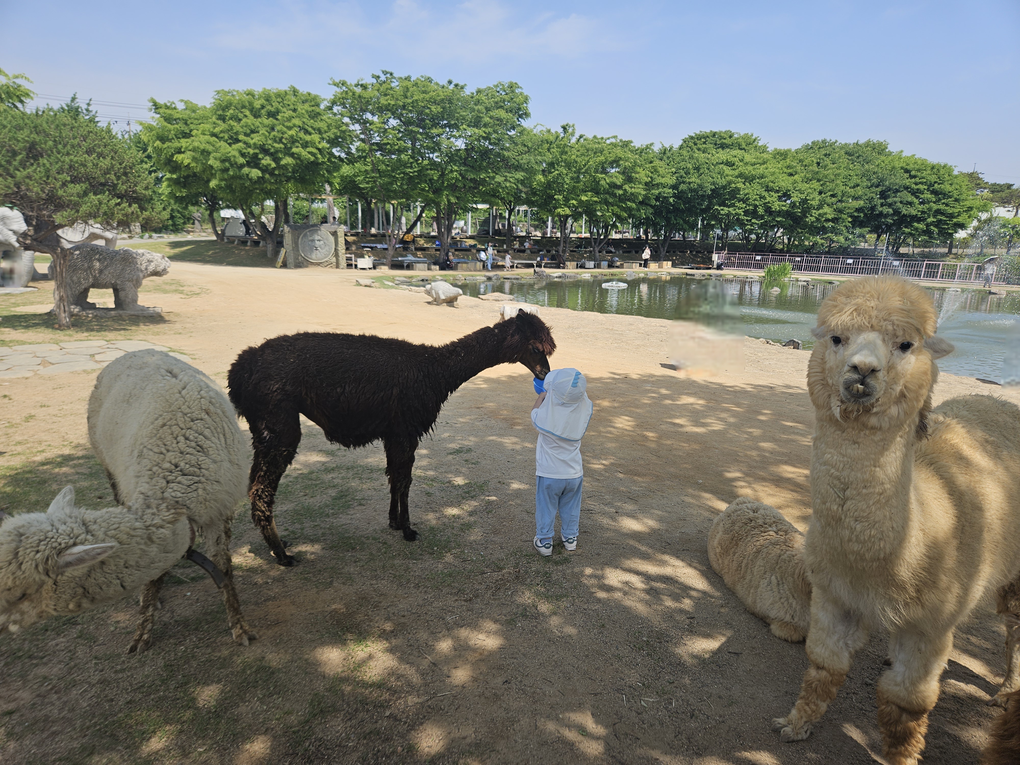 고양 쥬쥬랜드