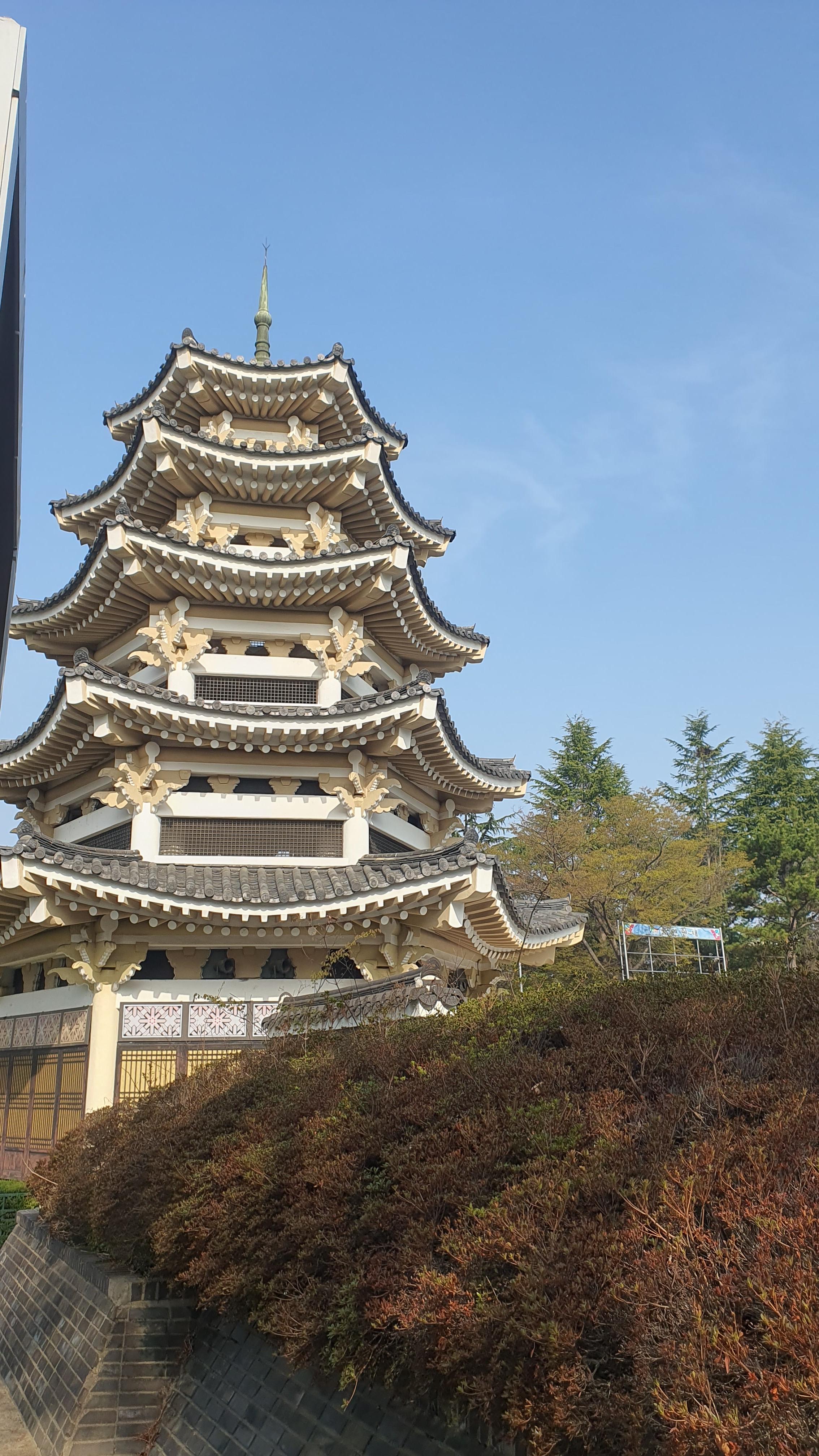 경주 보문관광단지 벚꽃