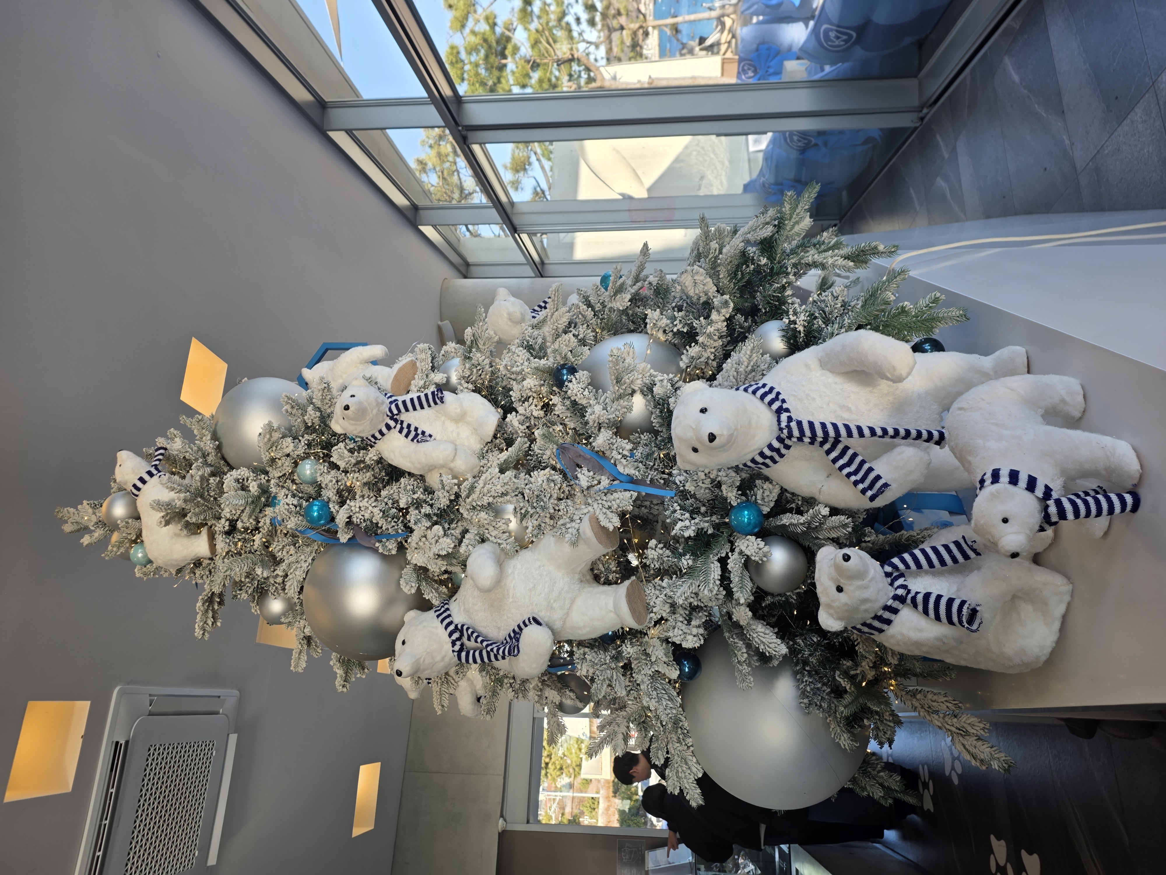 웨이브온 in 기장