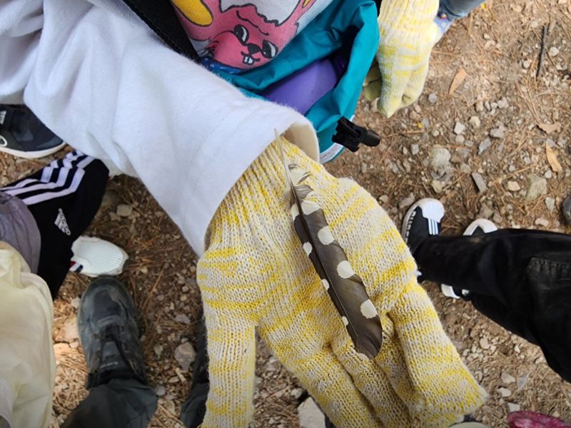 우리들유아숲체험원