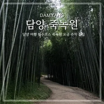 담양 죽녹원 소아르호텔 숙박 맛집_11