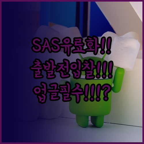 2025년 SAS 좌석 변경 유료화 ..