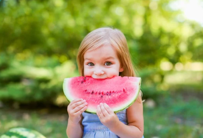 수박 효능 10가지 부작용 외 모든 것 총정리!