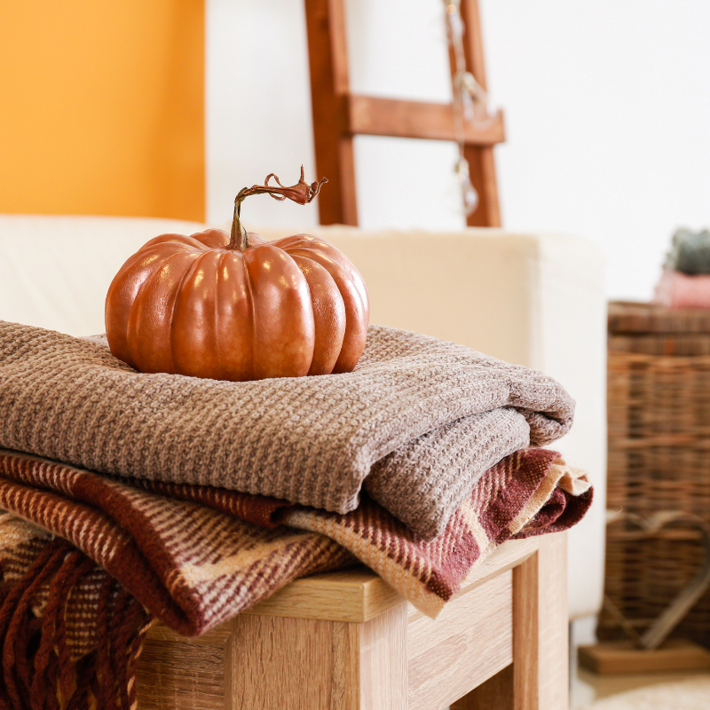 2024년 가을 축제_21