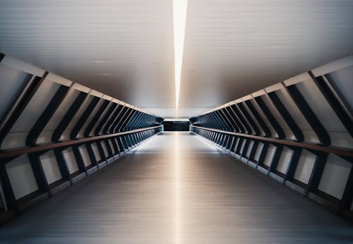 양자 터널링 - 세포 활동과 생명의 지속성