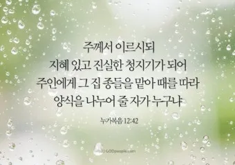 매일성경묵상(누가복음 12장 13-34절) 누가 네 인생의 주인이냐?_5