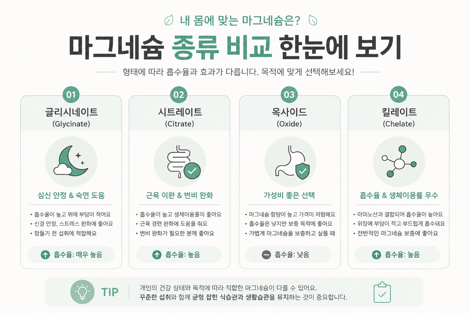마그네슘 종류별 효능 비교 인포그래픽