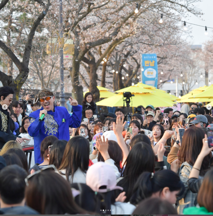 경주 벚꽃 축제