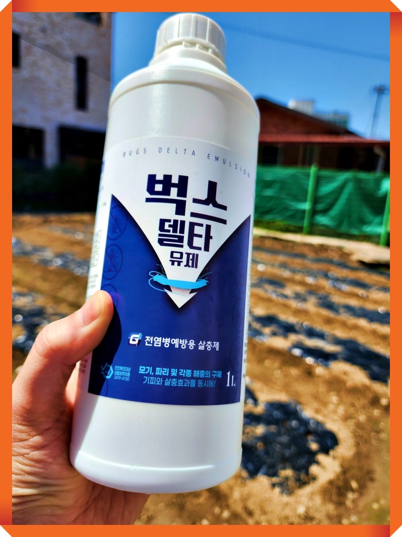 벌스델타 유제 소독약