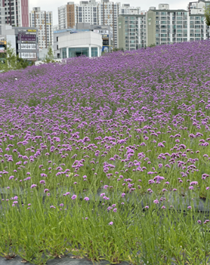 평택 아기랑 가볼 만한 곳 BEST 5! 직접 여러 번 다녀온 곳만 정리