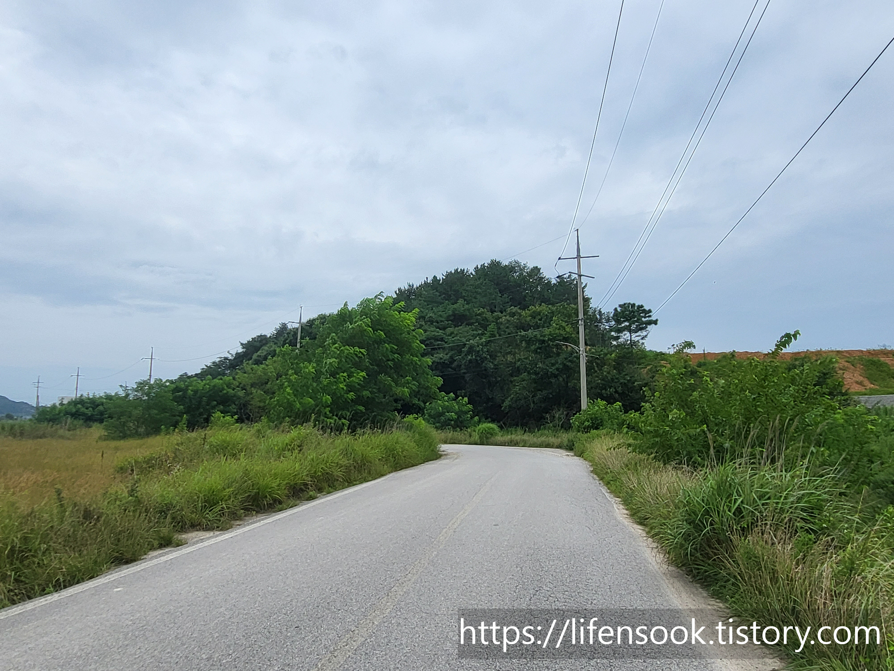 대부해솔길 3코스 길 5