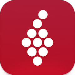 Vivino, 와인 선택을 똑똑하게, 와인 애호가를 위한 필수 앱
