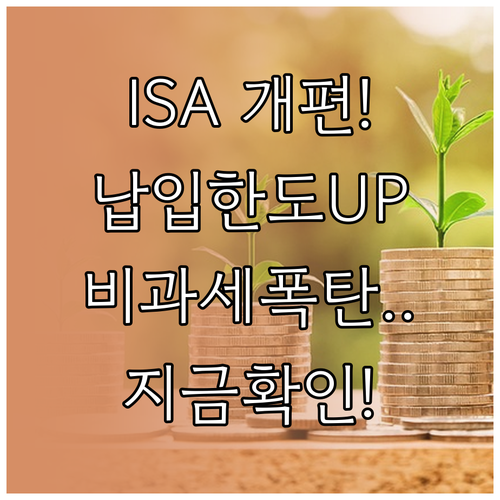 ISA 계좌 개편 내용 분석 납입한도..