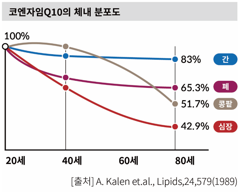 코엔자임 Q10 코큐텐 COQ10 영양제 심혈관 고혈압 스타틴 심장 에너지 미토콘드리아 유비퀴놀 유비퀴논 선택방법 제품추천