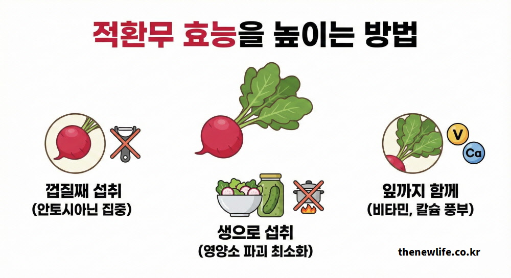 적환무 효능을 높이는 방법인 껍질째 섭취와 생으로 먹기 그리고 잎까지 함께 먹는 법을 설명하는 인포그래픽