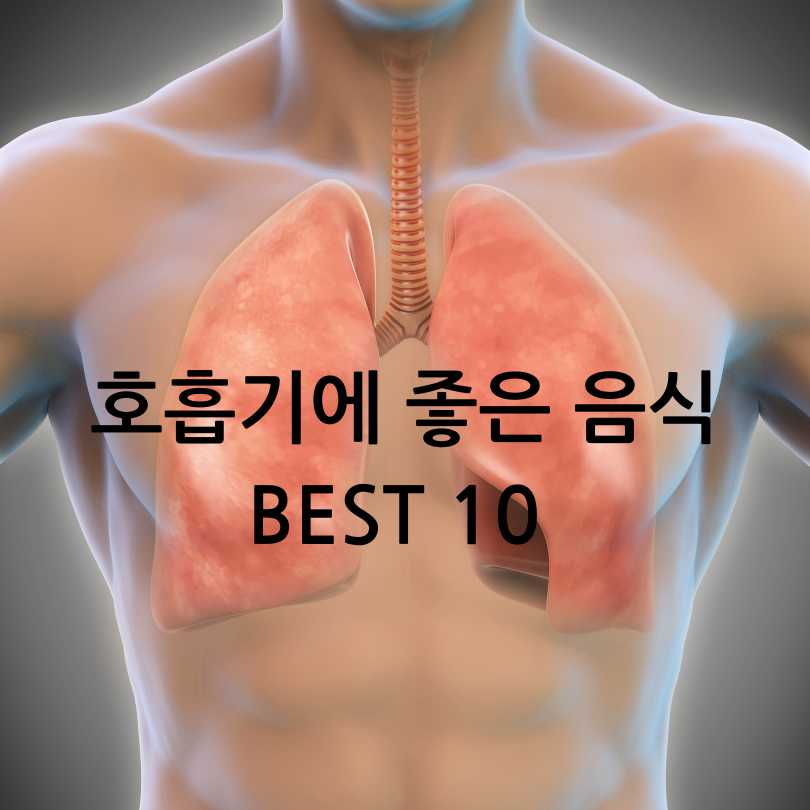 호흡기에좋은음식