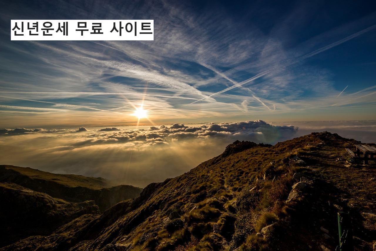 신년운세 무료 사이트