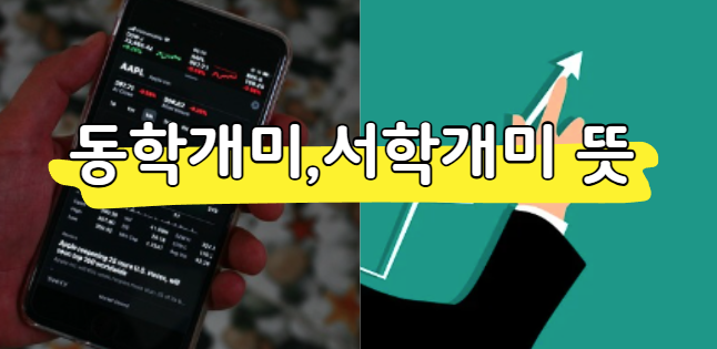 동학개미 서학개미 뜻 및 유래, 왜 이런 이름이 붙었을까?