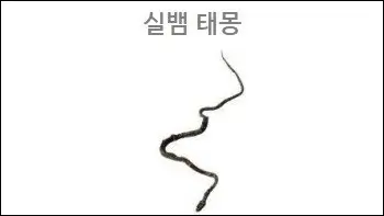 실뱀 태몽