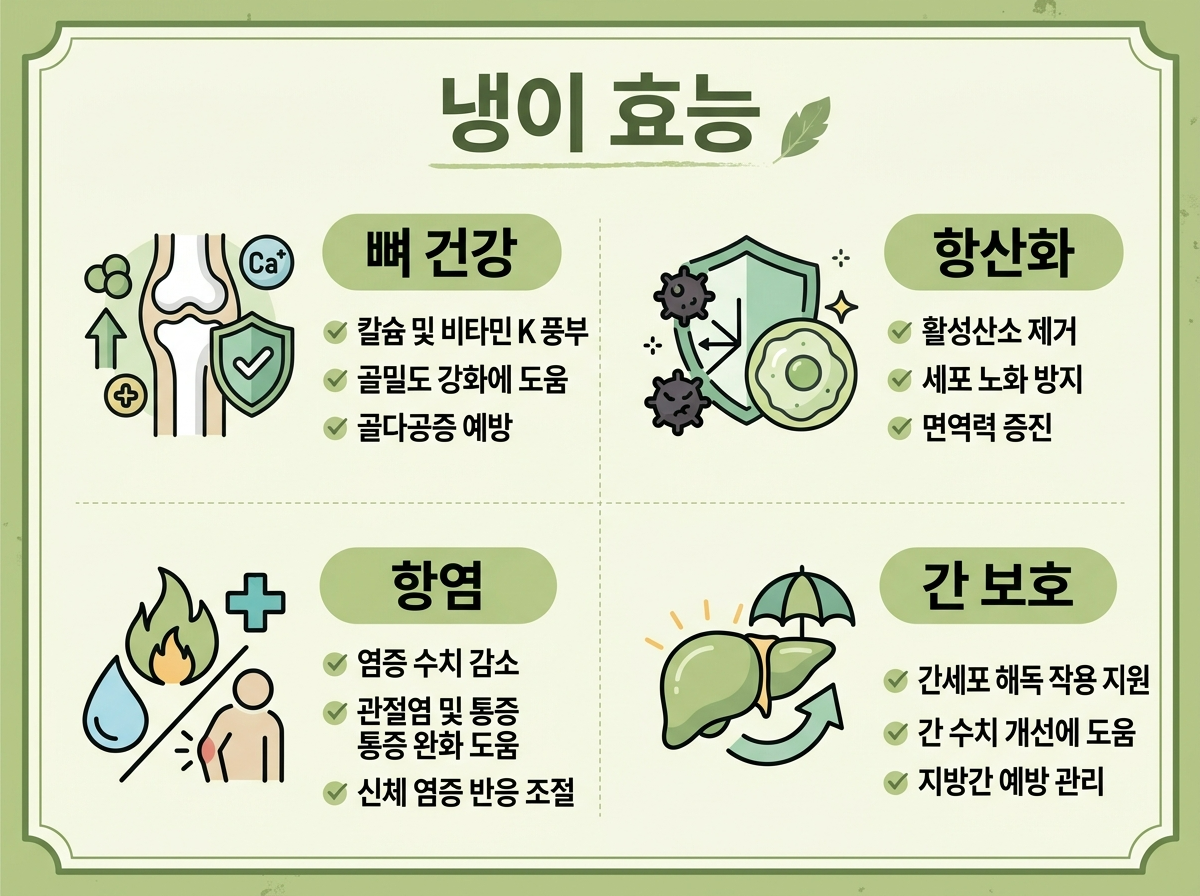 냉이 효능 뼈 건강 항산화 항염