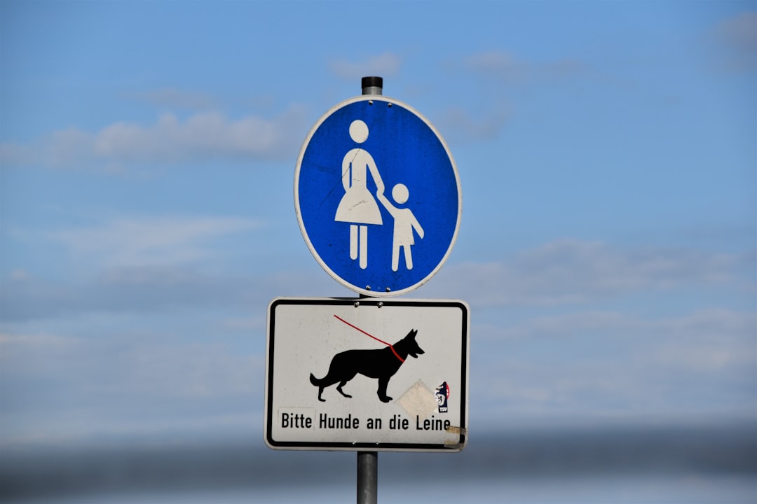 Leash