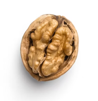 호두 효능과 부작용 하루섭취량 먹는방법 고르는법