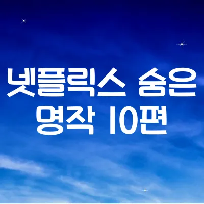 넷플릭스 숨은 명작