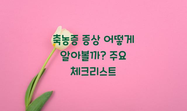 축농증 증상