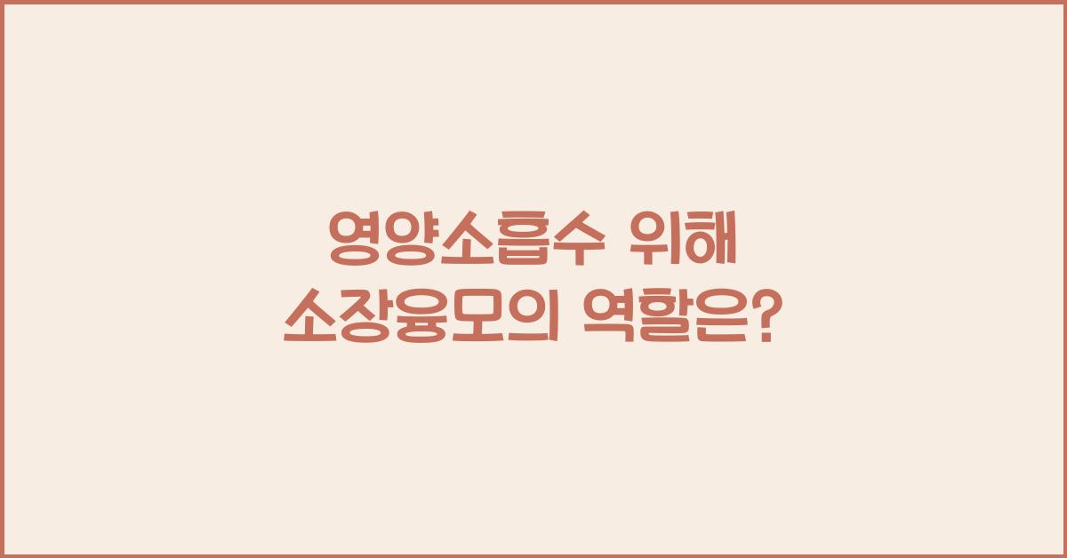 영양소흡수, 소장융모 역할