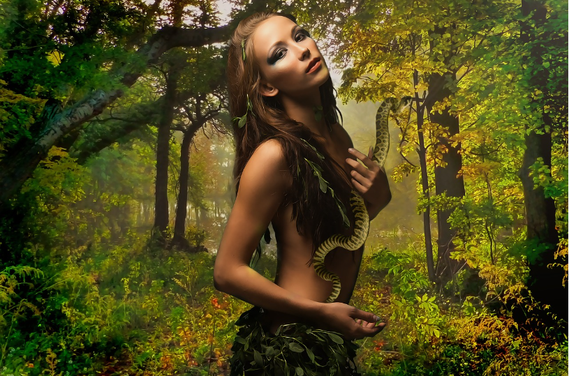 뱀이 사람을 감싸는 꿈해몽