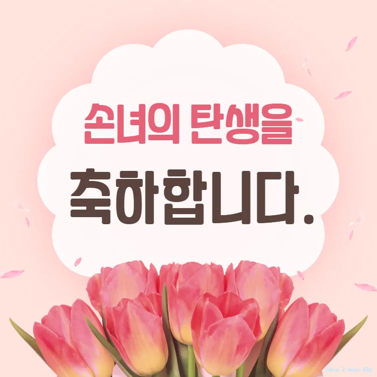 손주 축하 인사 돌 생일 유치원 입학 따뜻한 문구 모음_4