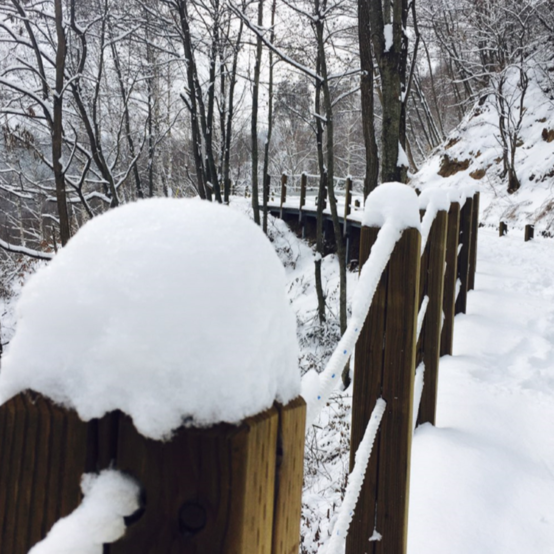 국내 겨울 여행 관련 사진